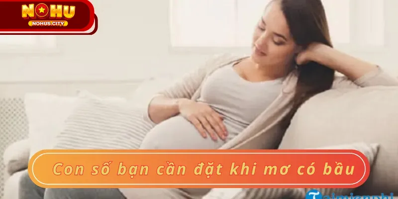 Con số bạn cần đặt khi mơ có bầu