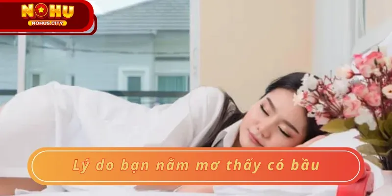 Lý do bạn nằm mơ thấy có bầu